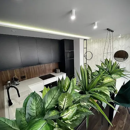 Zielone Tarasy - Next To The Beach With Garage Apartment *