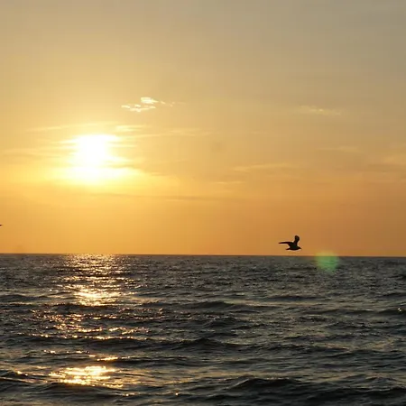 Zielone Tarasy - Next To The Beach With Garage Apartment *